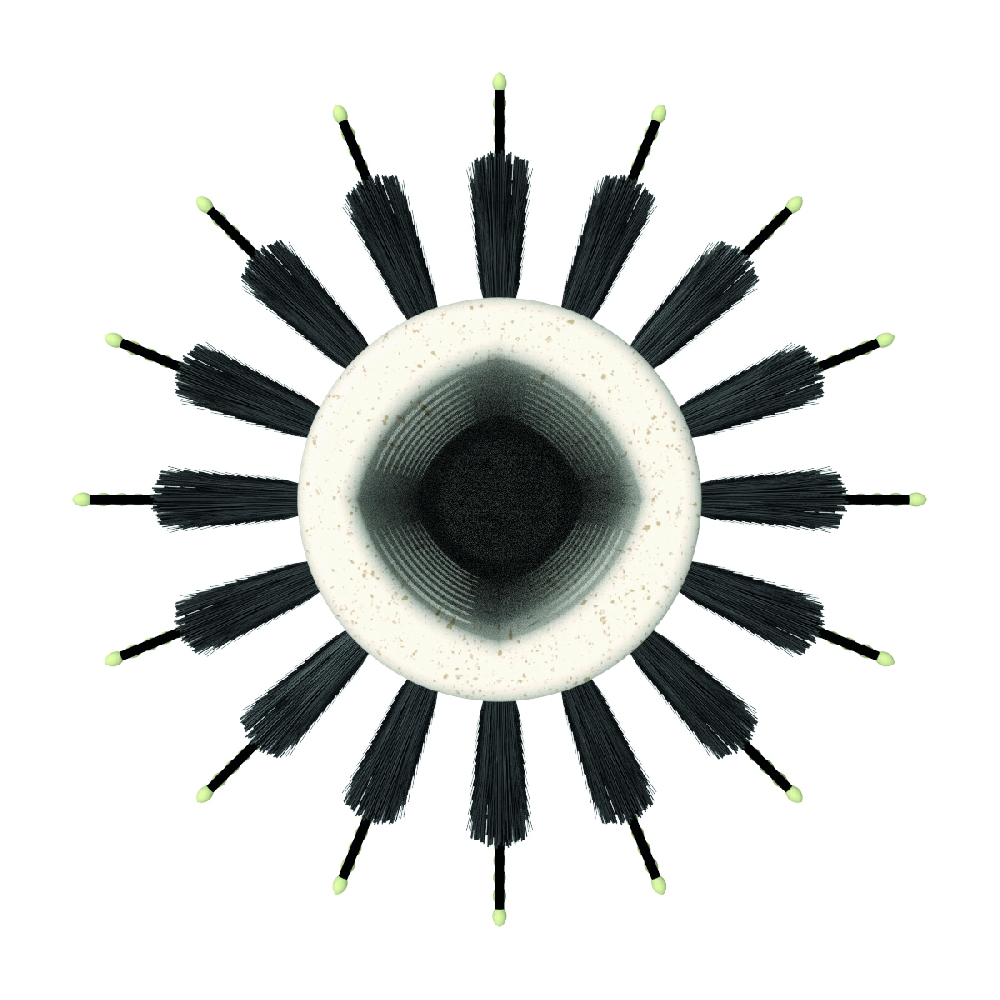 CEP. BRUSHING C/ PINS Y CERDAS 32mm- OLIVIA GARDEN | Vista 2